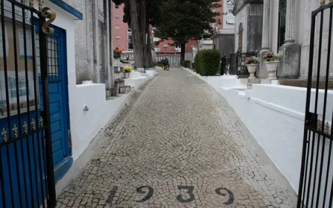Fotografía de Cemitério Paroquial de Sacavém