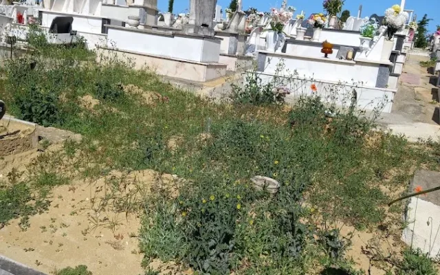 Fotografia de Cemitério do Monte de Caparica