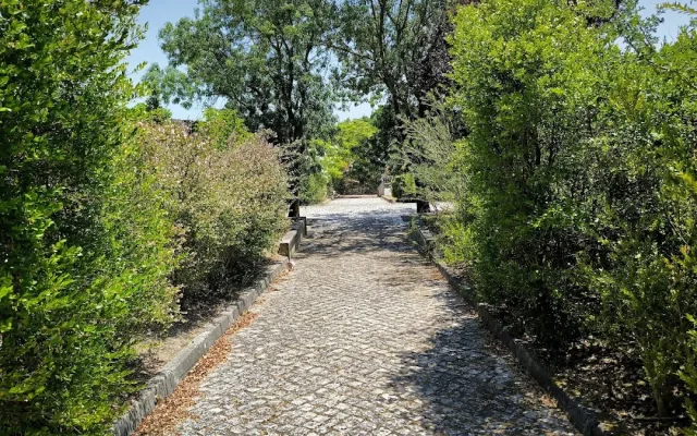 Fotografía de Cemitério de Carnide