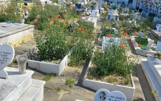 Fotografia de Cemitério do Monte de Caparica